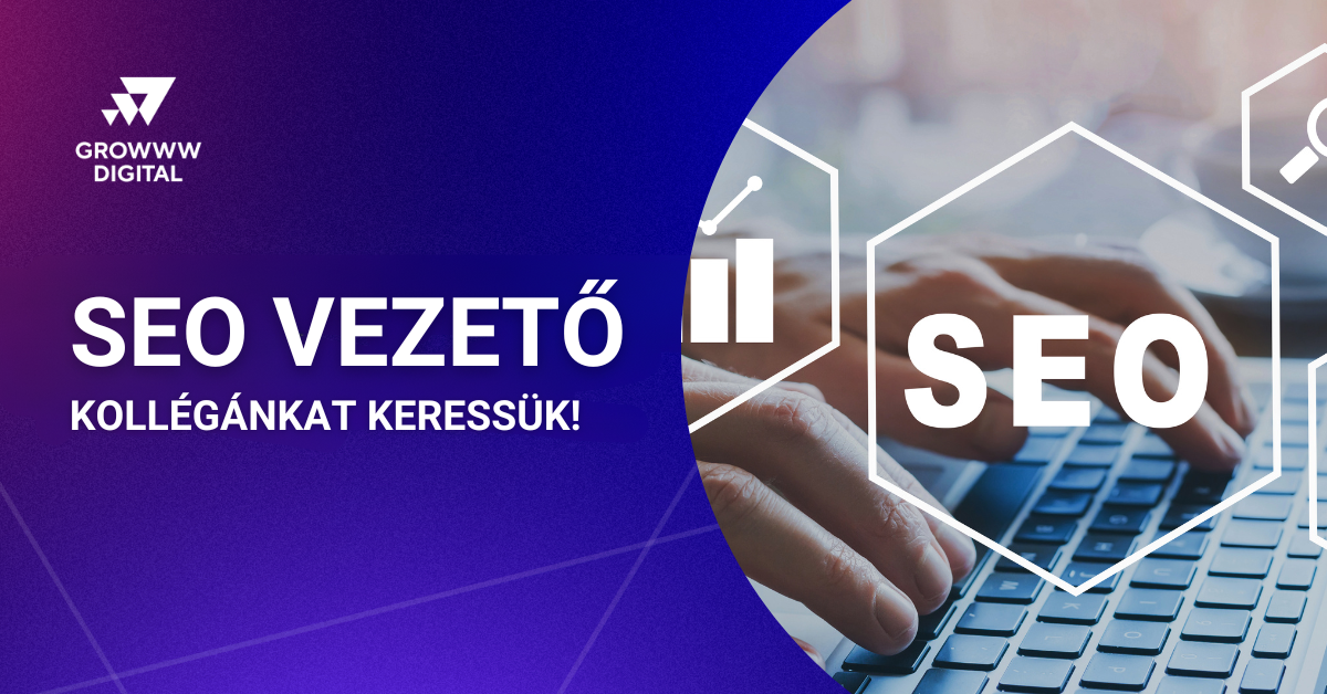 SEO vezető