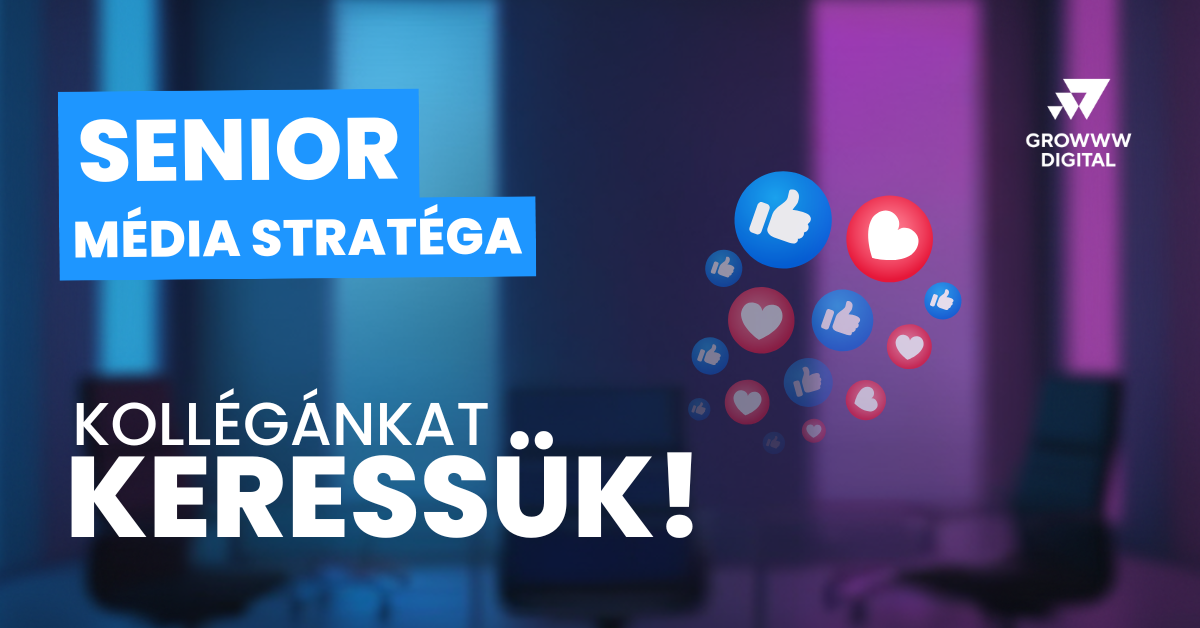 Senior Média Stratéga